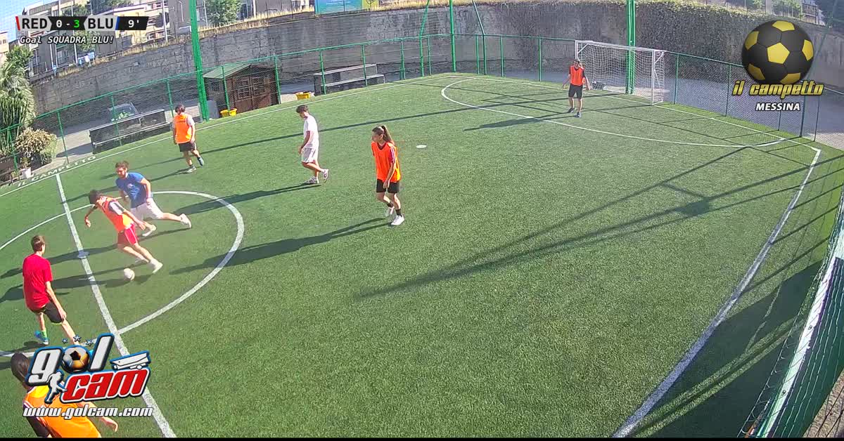 Gol annullato (mano o no?)