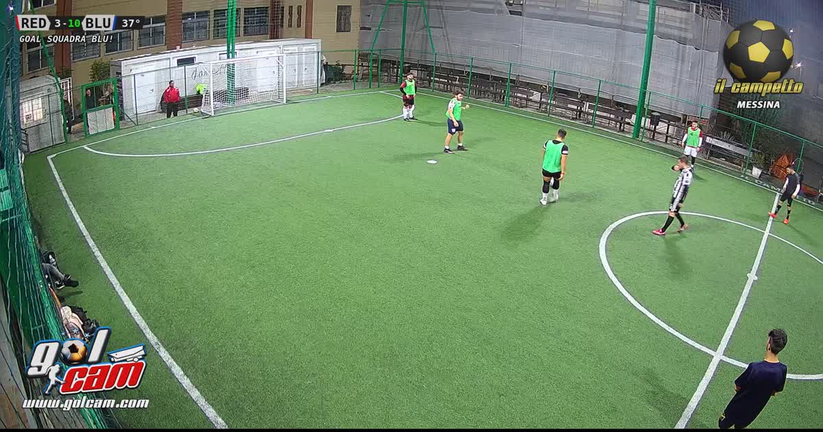 Goal 13