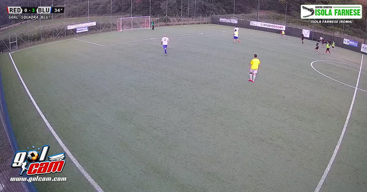 Gol Bunny 