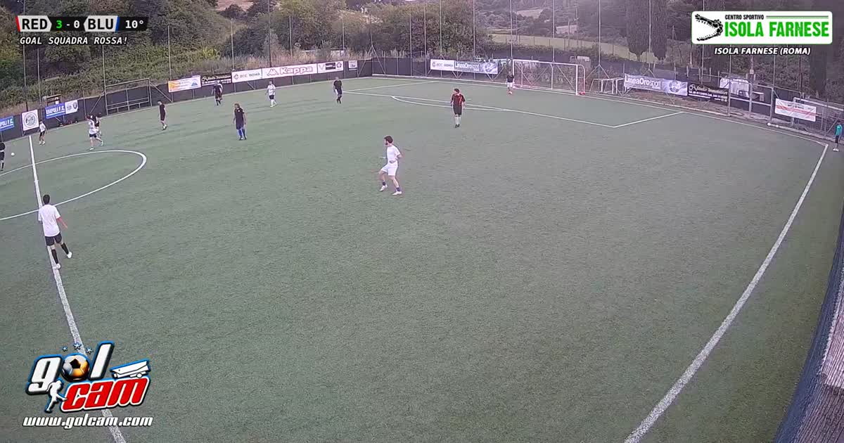 Gol in singolo 