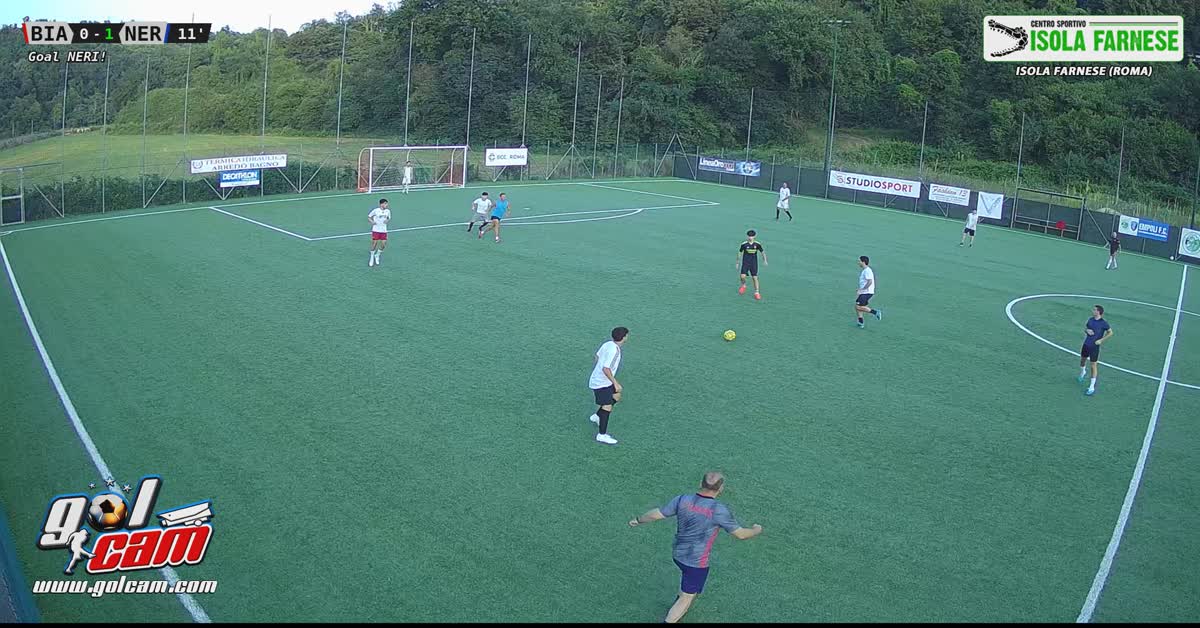 goal mezzo al volo 