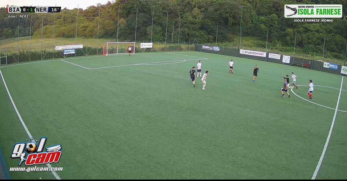 assistjdfiew