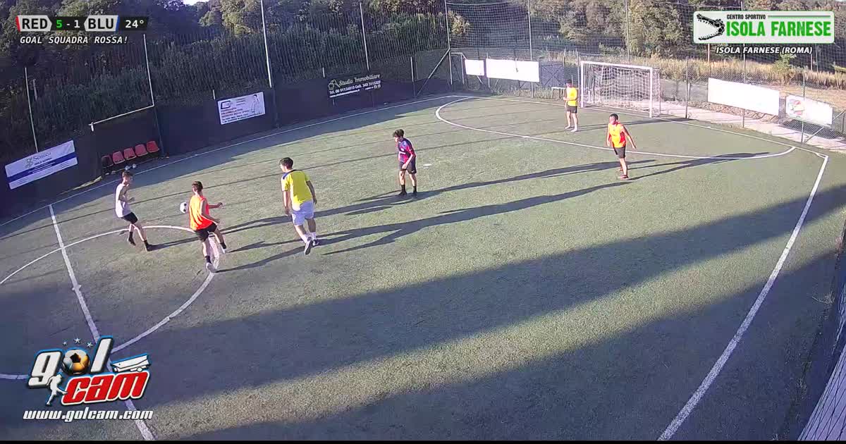 gol mio 7