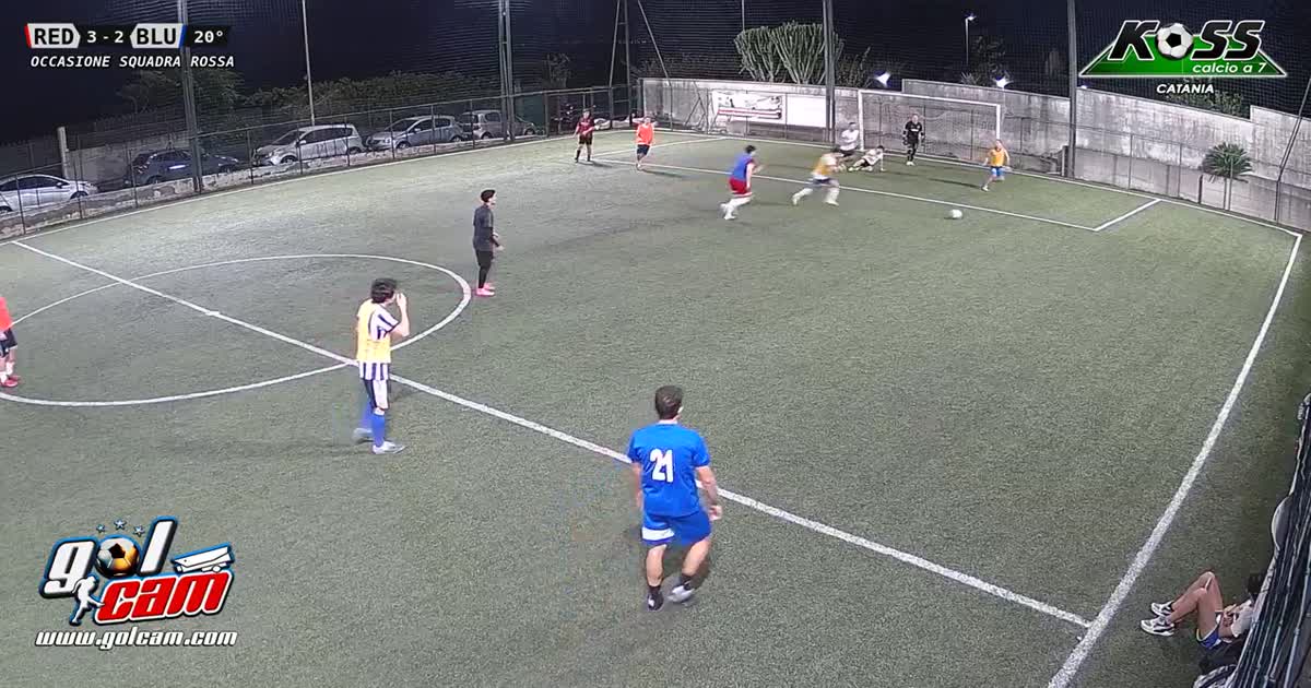 Quasi goal 