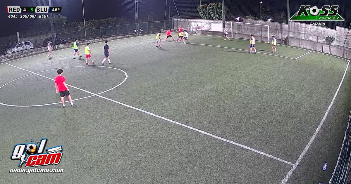 Goal arena