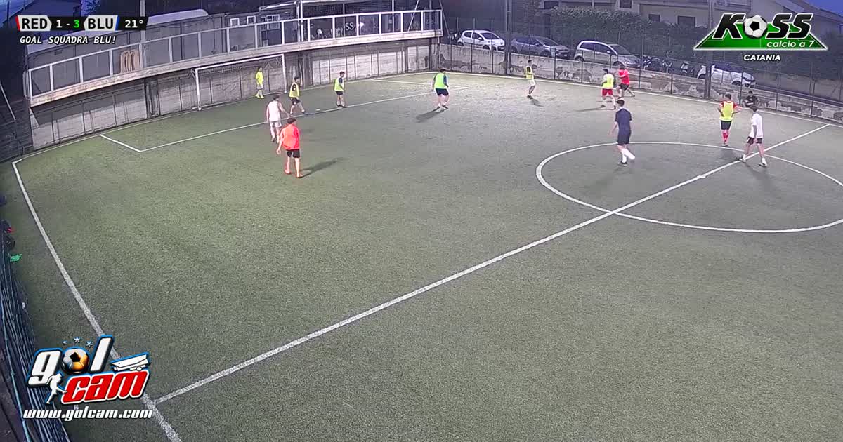 Testaarena