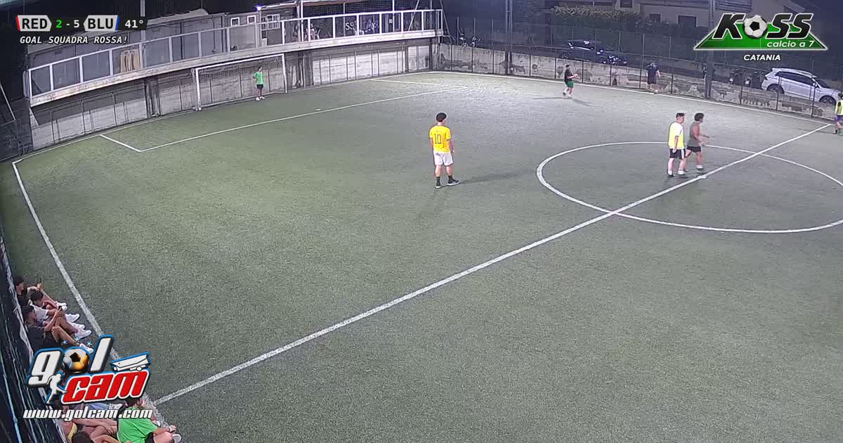 Gol tiro al volo
