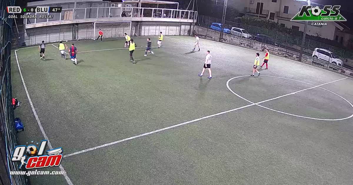 GOAL-07