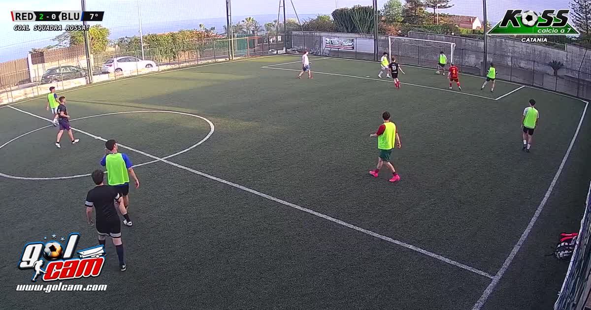 assist magico