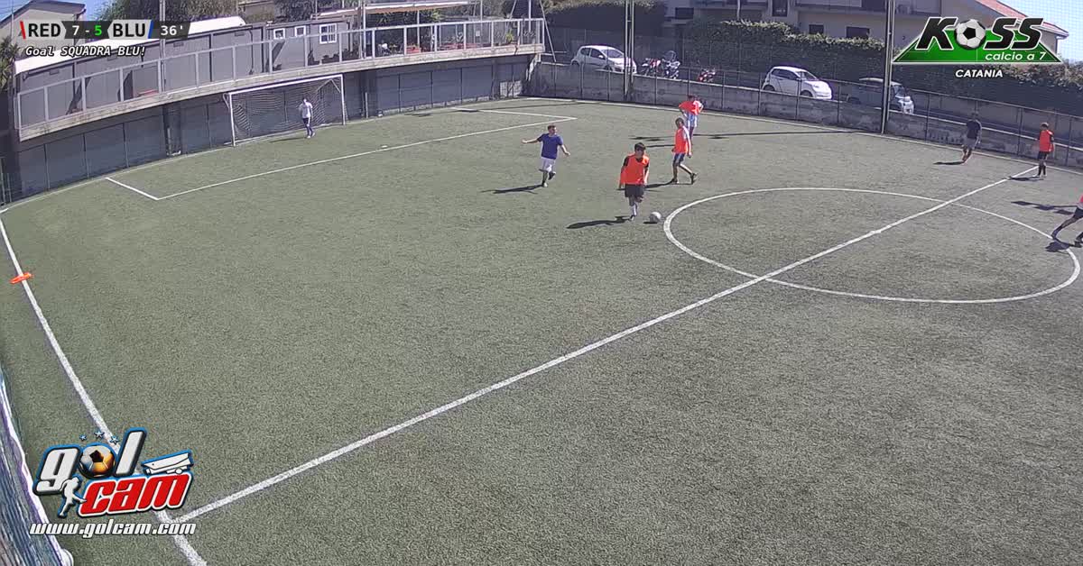 Goaldribling