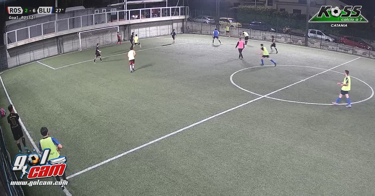 Assist telecomandato