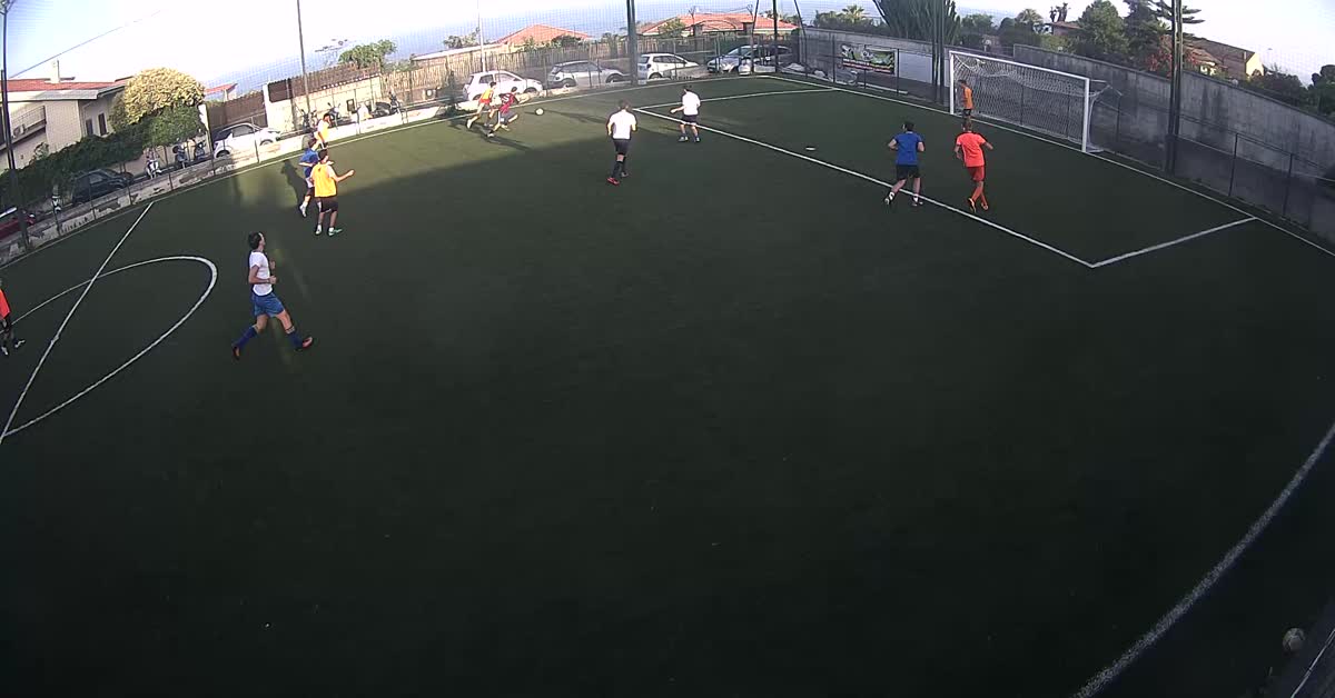 Goal 1