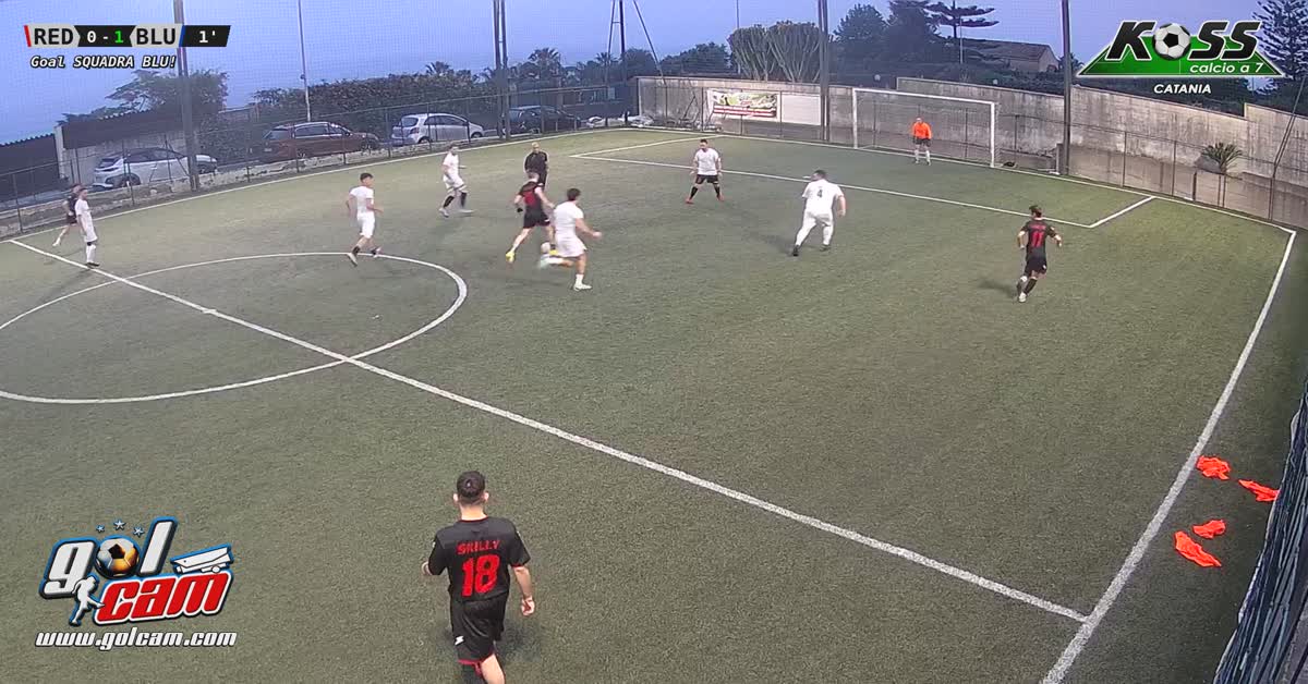Palo goal