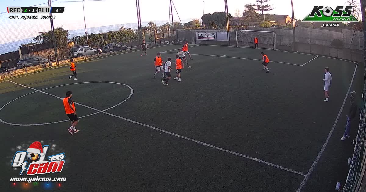 Assist a feddna
