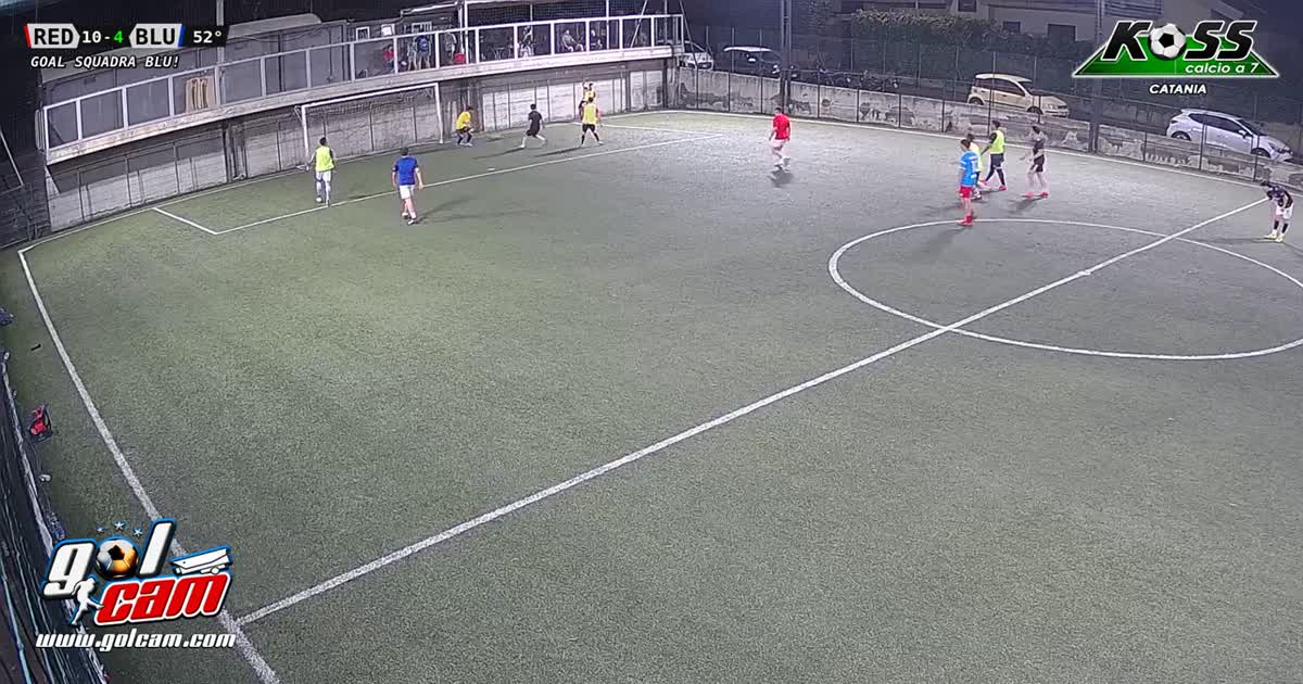 Gol 81       