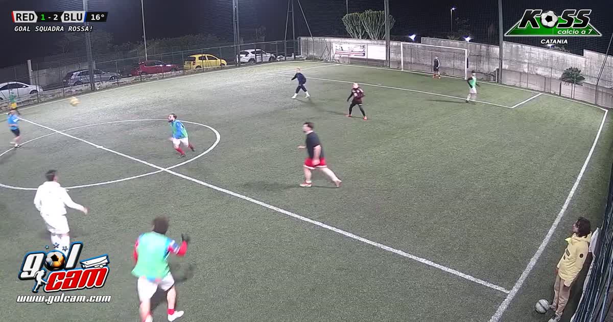 goal David