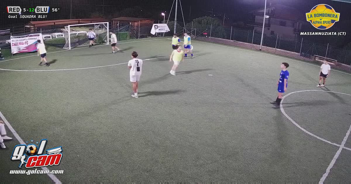 Goal 19
