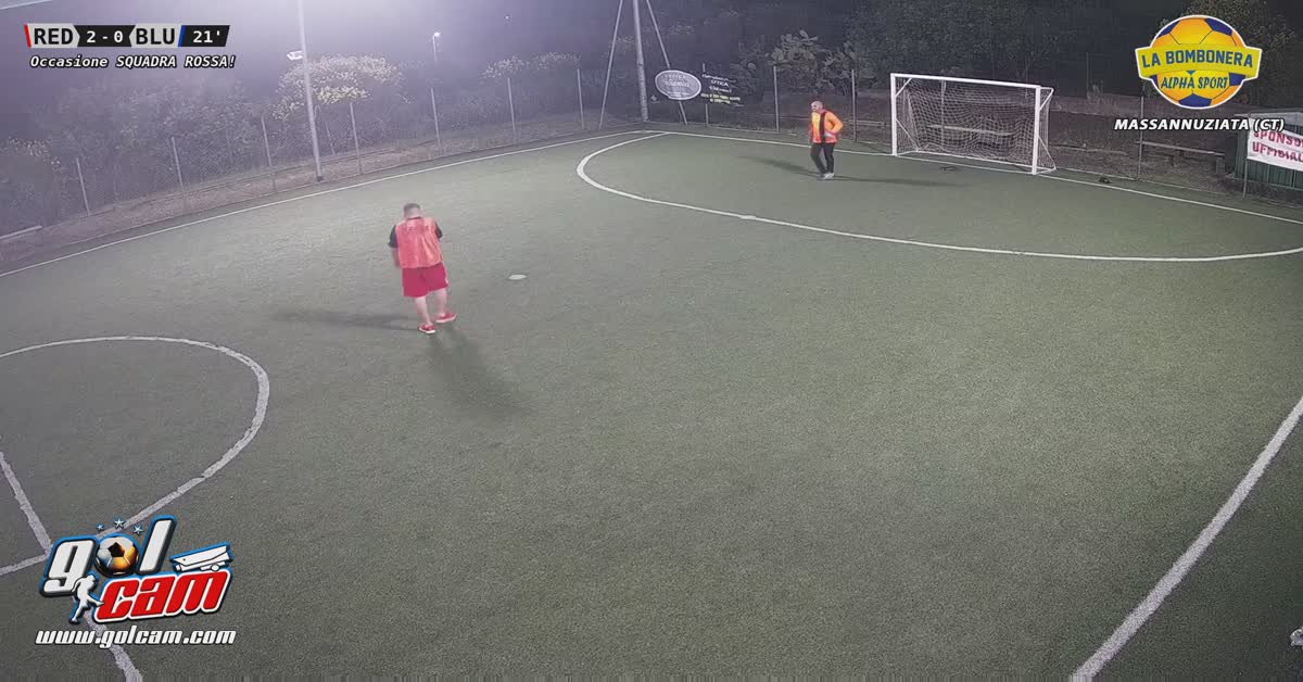Gol ninox
