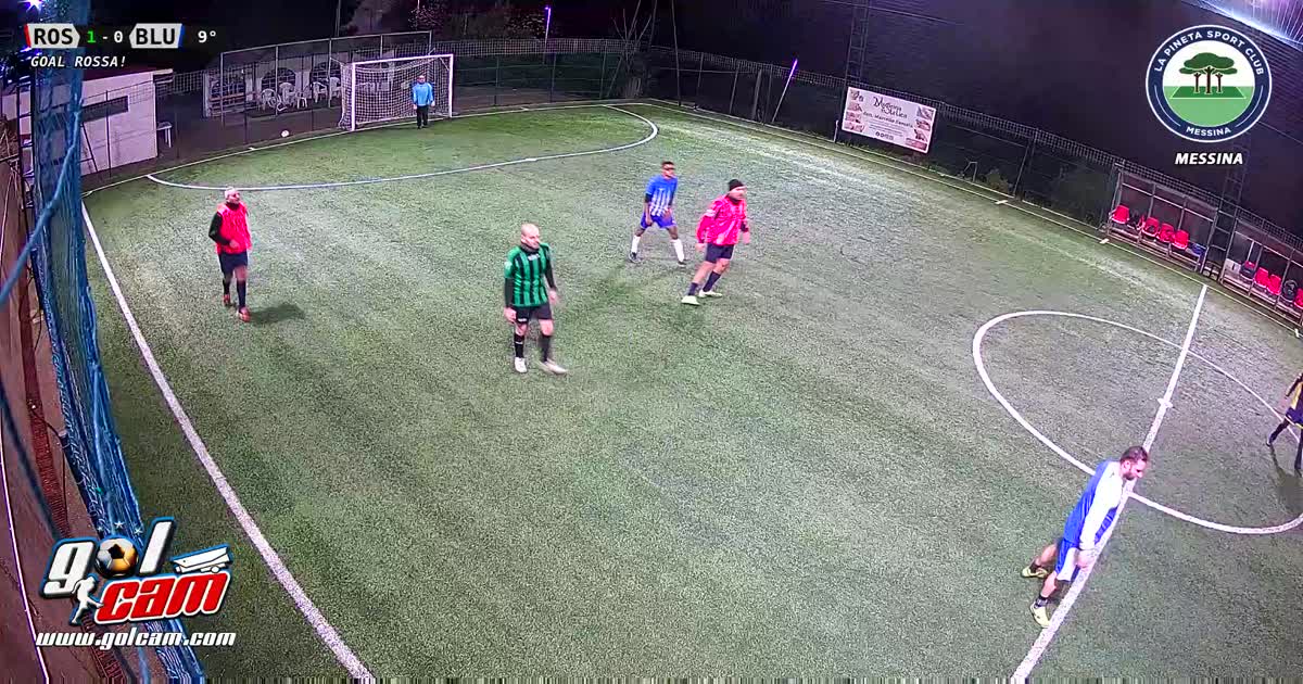 goal 1 ale