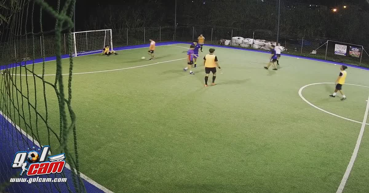 Goal 3