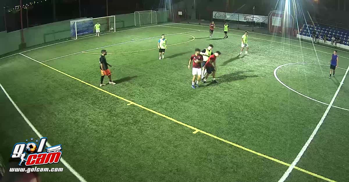 Goal 13 