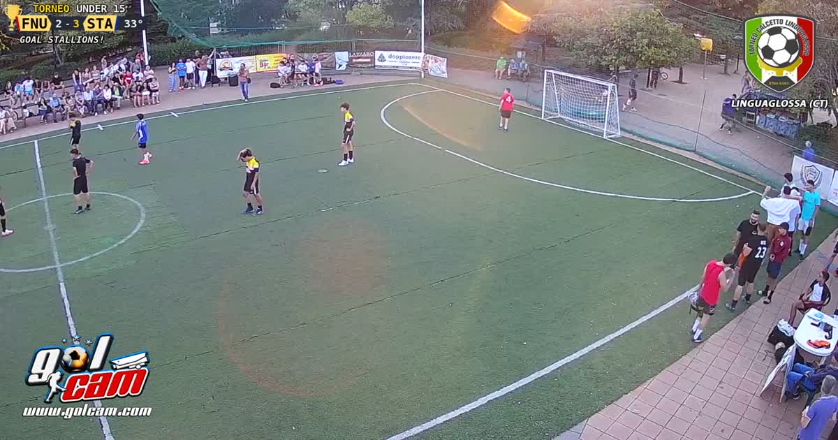 Gol della vittoria 
