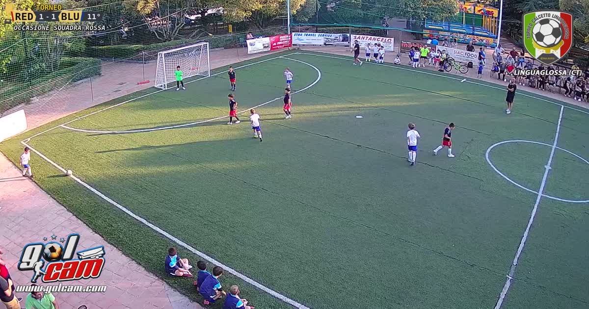 Gol nin2 