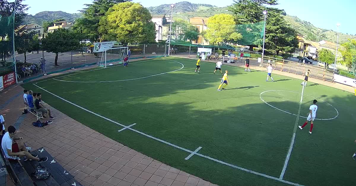     Palo