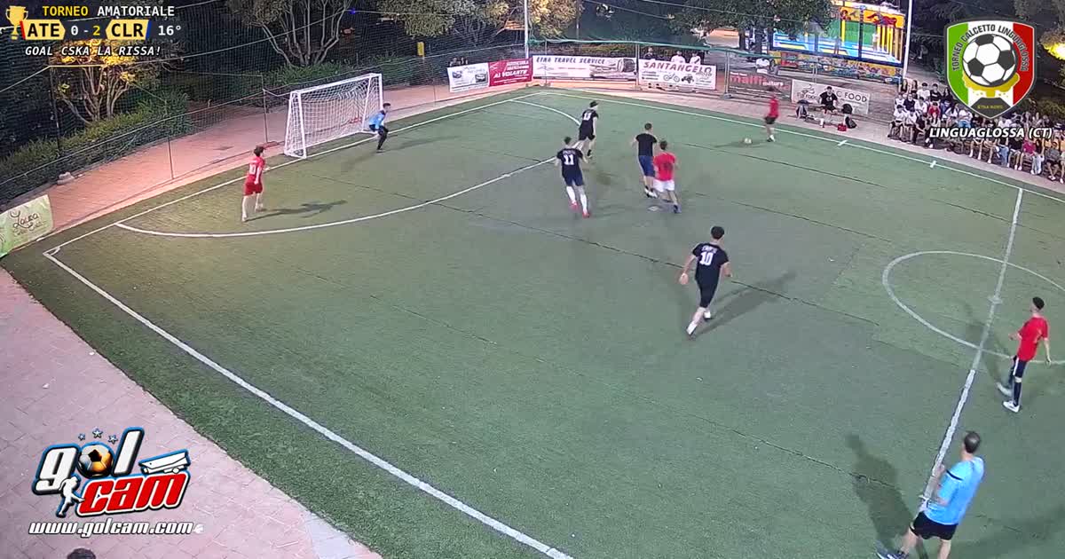 stiamo volando