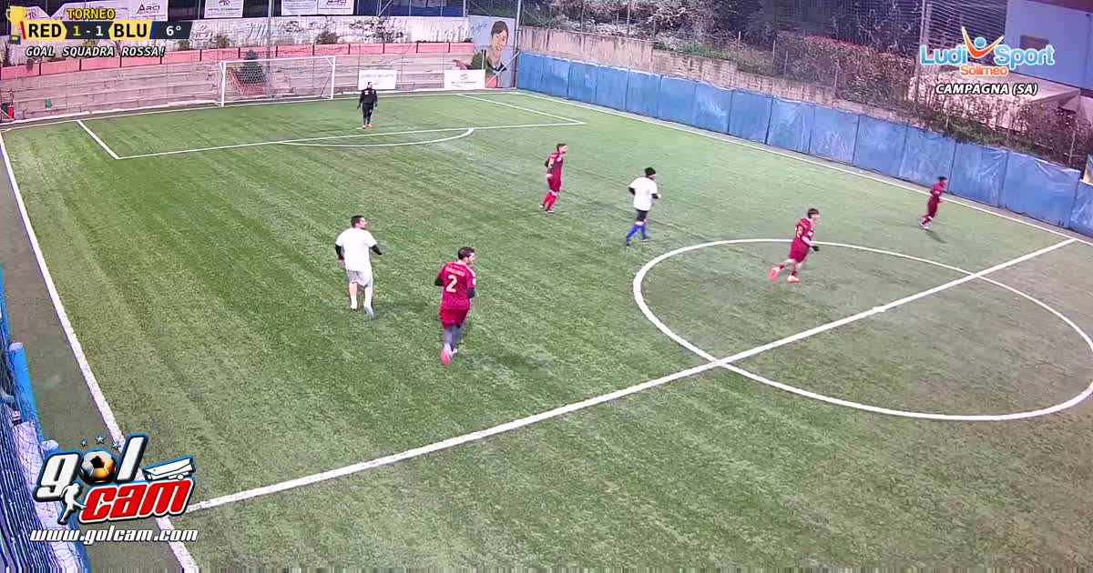 Tiro al volo