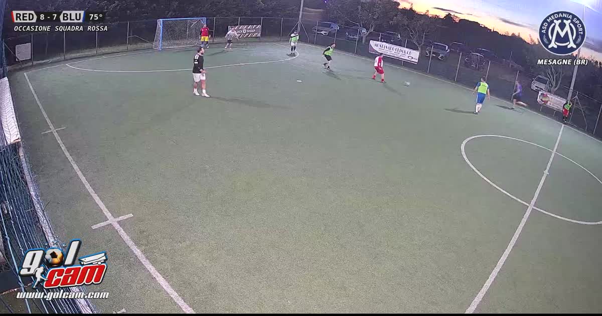 paratona 11