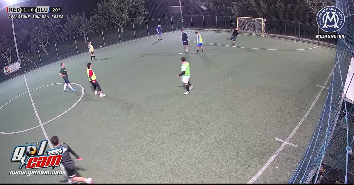 Parata di nikkio