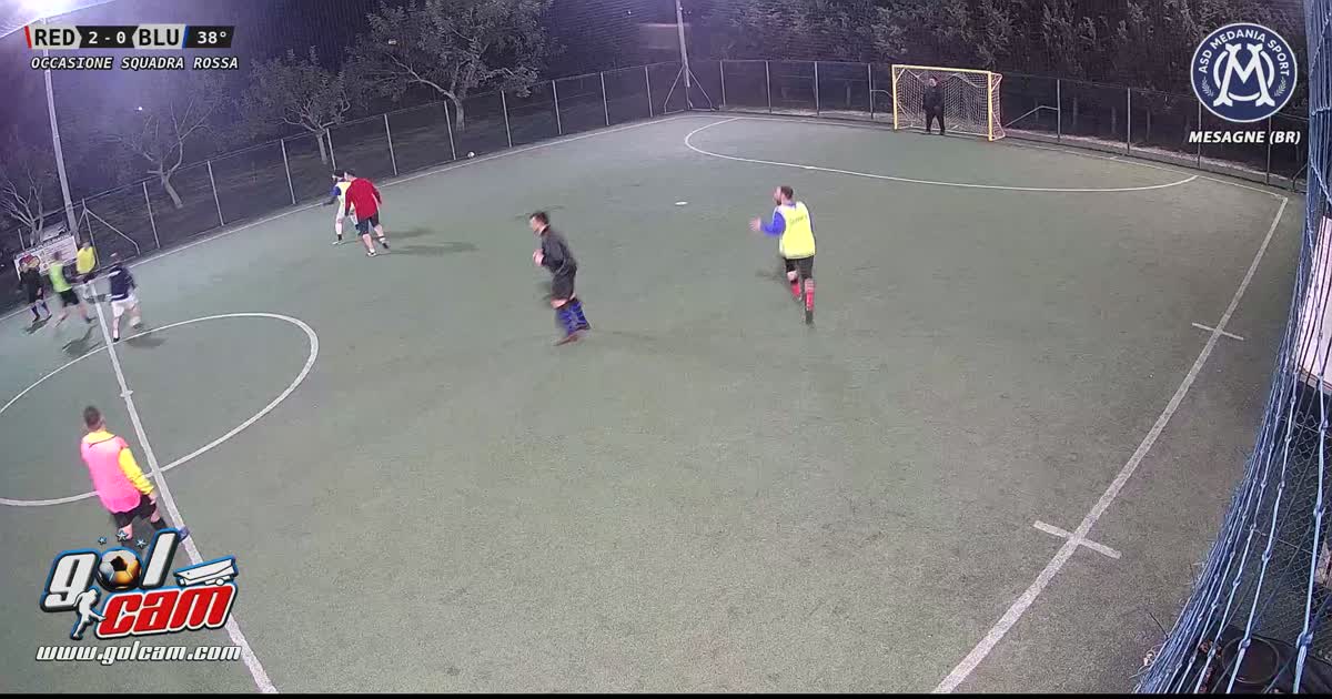 Palo di solimeo