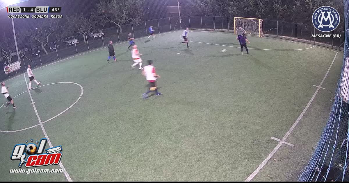 Quasi goal