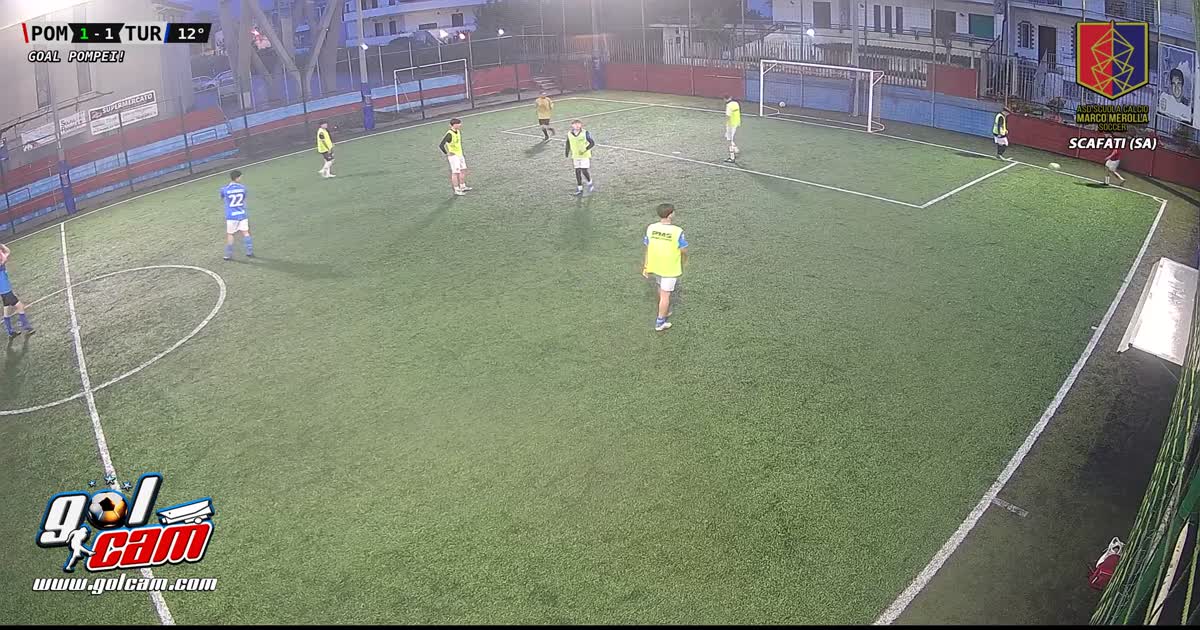 Goal 8