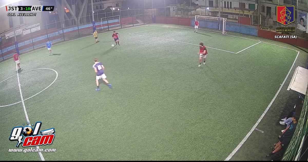 Goal 13
