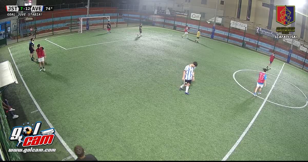 Goal 15