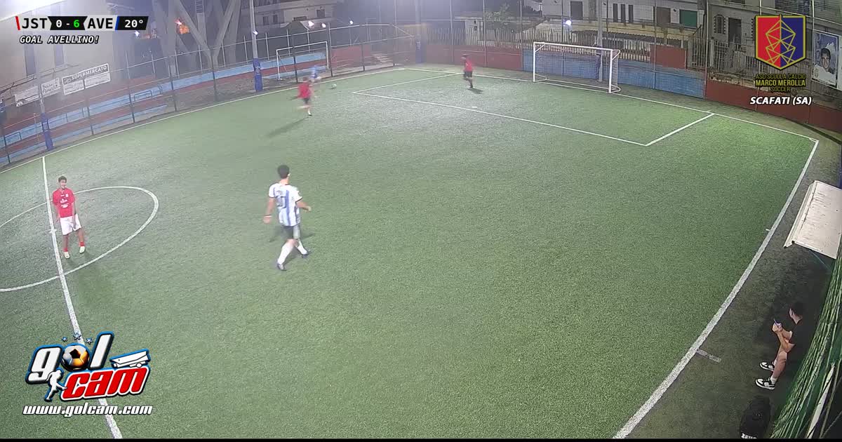 Goal 11