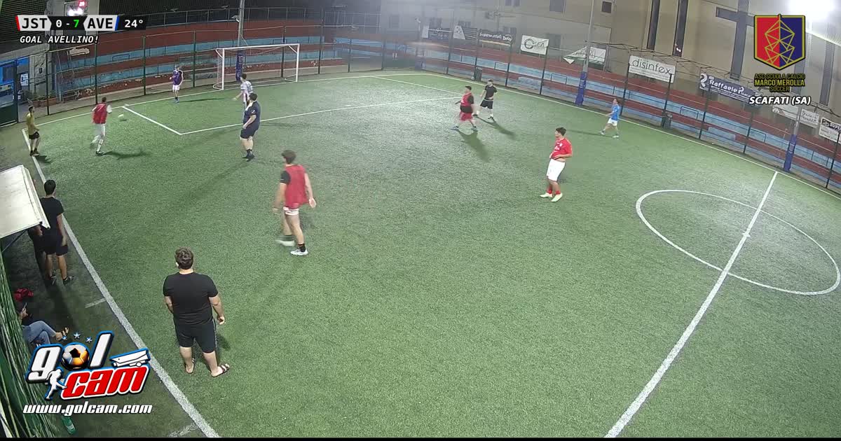 Goal 12
