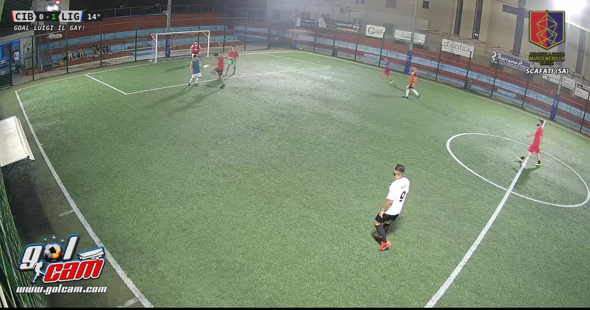 Goal 1