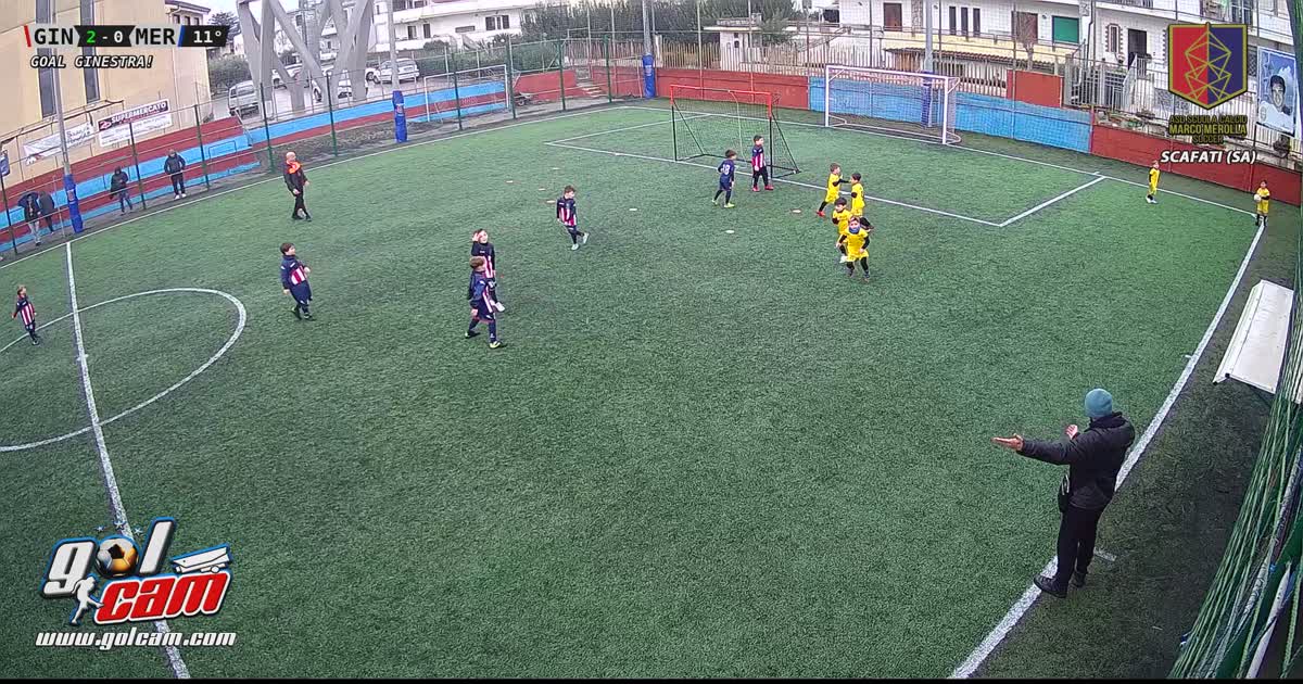 Gol nanni