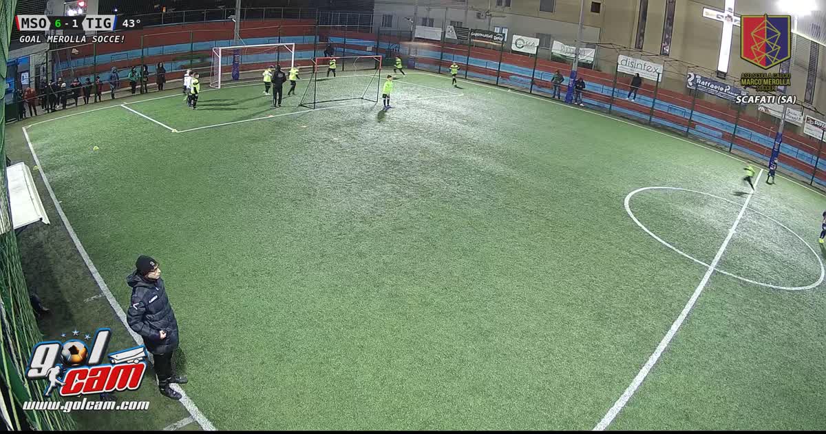 Goal  Anas