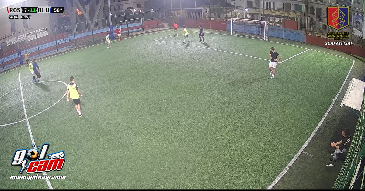 Goal 11
