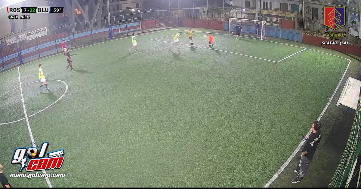 Goal 12