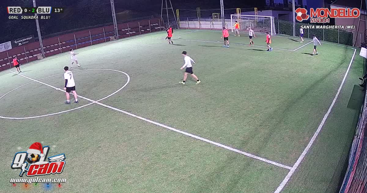 goal 2