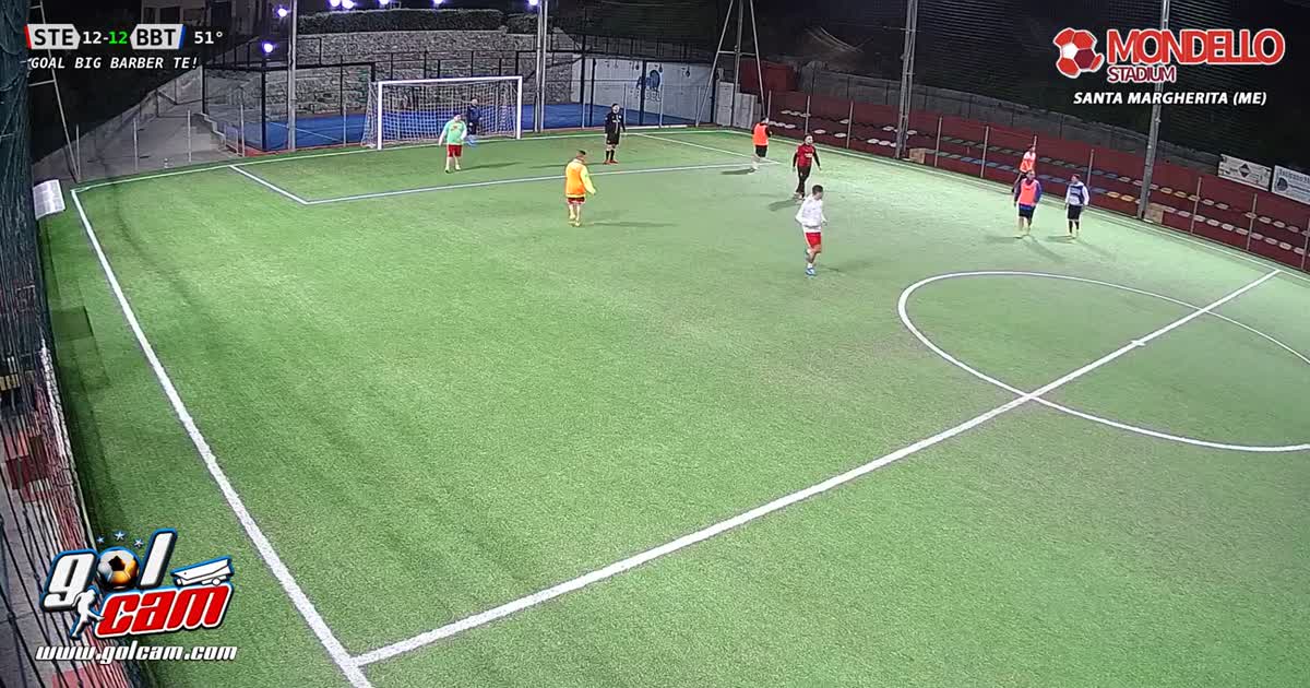 Tiro al volo