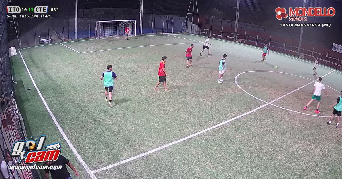 goal 7