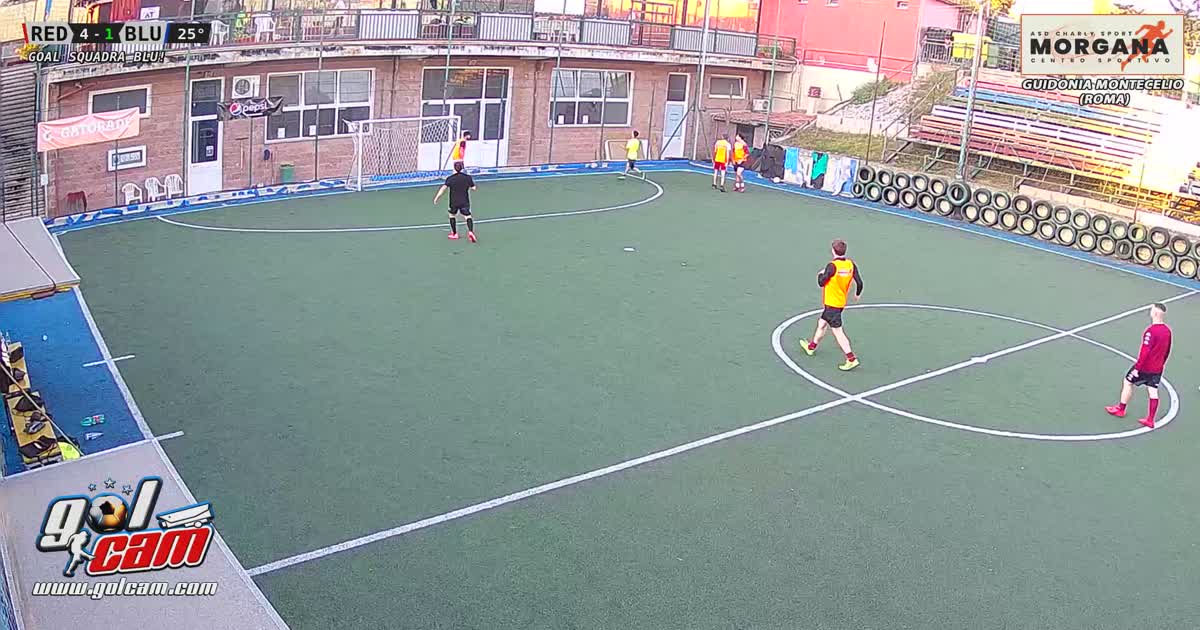 Il vecchio goll