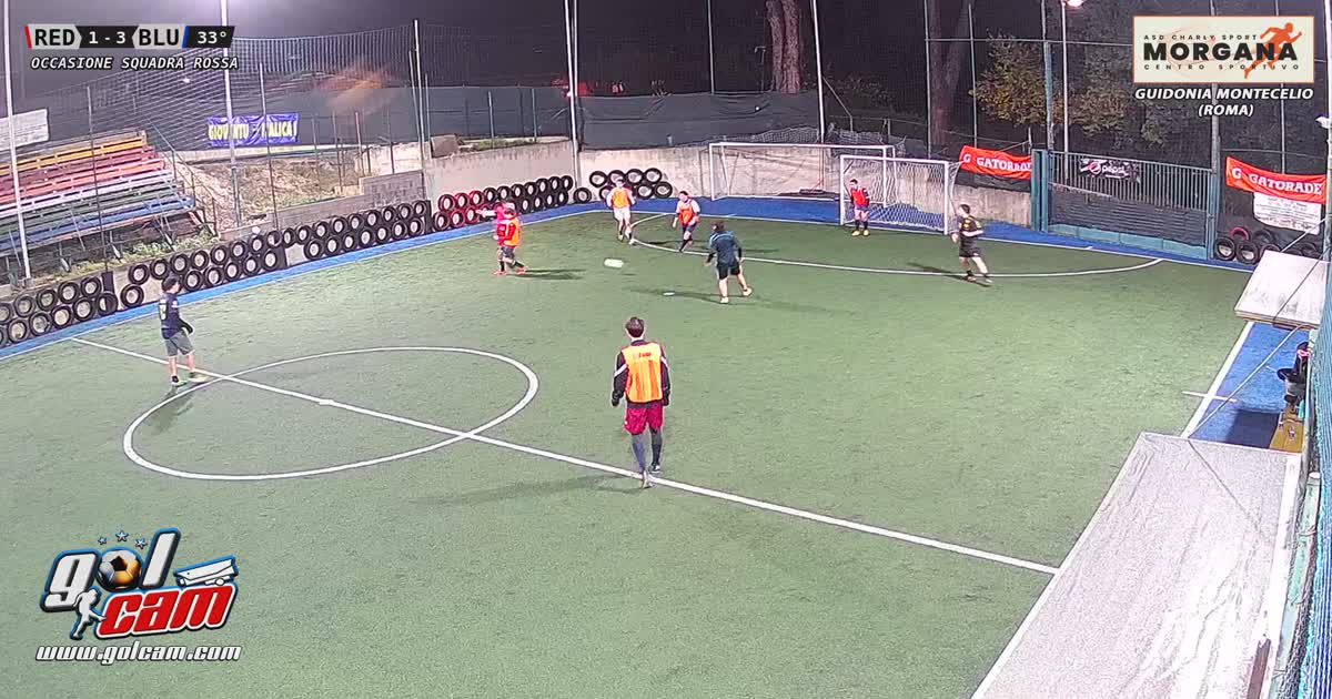Gol ale