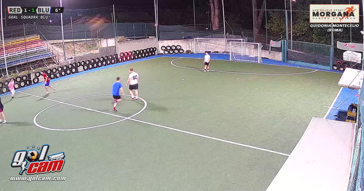 Goal 1